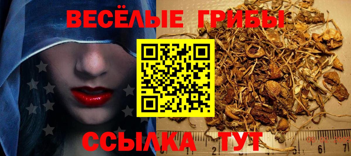 Мурманск  Кетамин  КОКАИН  Мефедрон   Гашиш  Вход с VPN  ГАШИШ  Конопля  МДМА  Экстази 